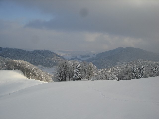 ../Images/Jagd 020.jpg